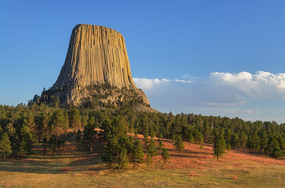 Devils Tower National Monument-Wyoming art print by Alan Majchrowicz for $57.95 CAD